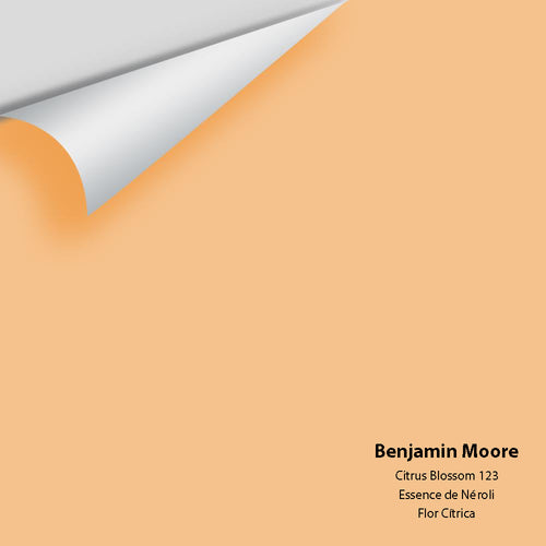 Benjamin Moore - Citrus Blossom 123 Peel & Stick Color Sample