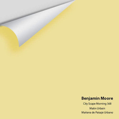 Benjamin Moore - City Scape Morning 368 Peel & Stick Color Sample
