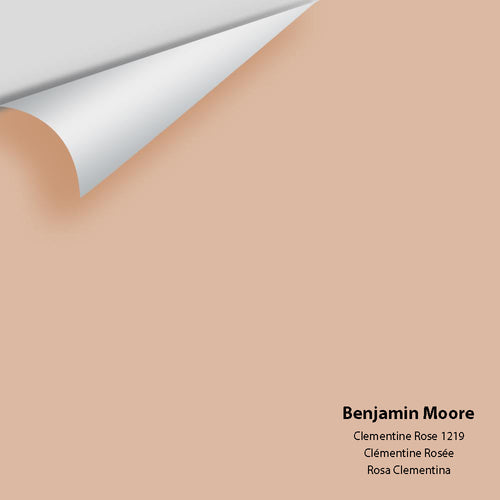 Benjamin Moore - Clementine Rose 1219 Peel & Stick Color Sample