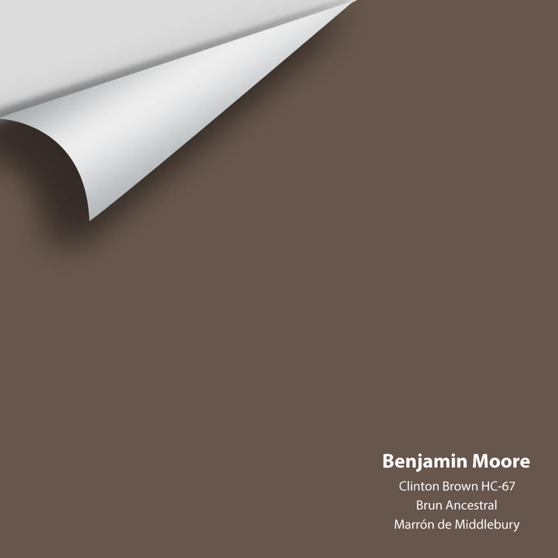 Benjamin Moore - Clinton Brown HC-67 Peel & Stick Color Sample