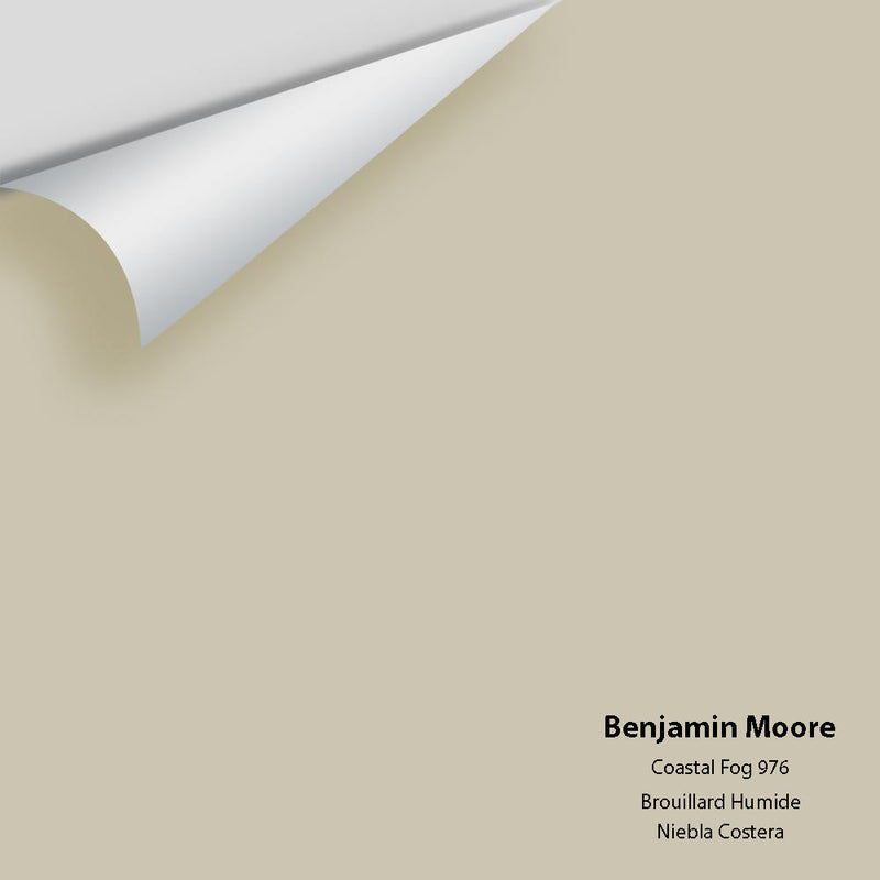 Benjamin Moore - Coastal Fog 976 Peel & Stick Color Sample