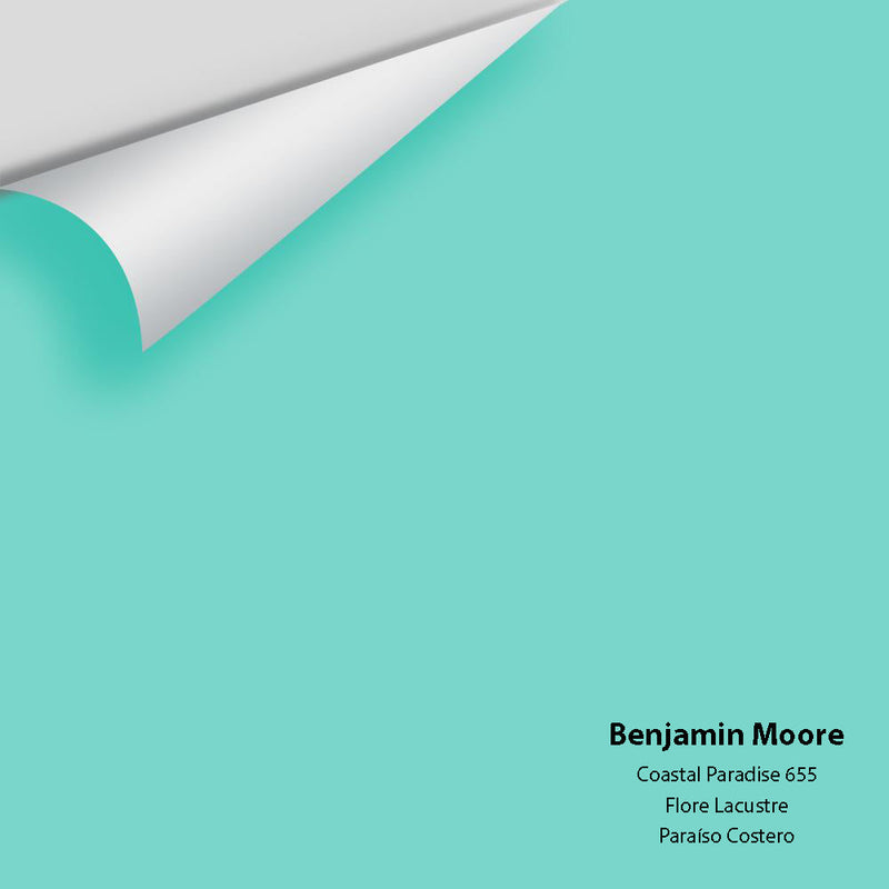 Benjamin Moore - Coastal Paradise 655 Peel & Stick Color Sample
