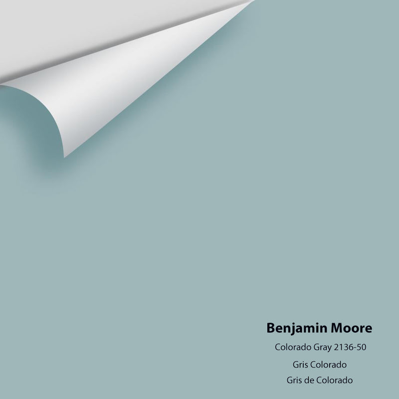 Benjamin Moore - Colorado Gray 2136-50 Peel & Stick Color Sample