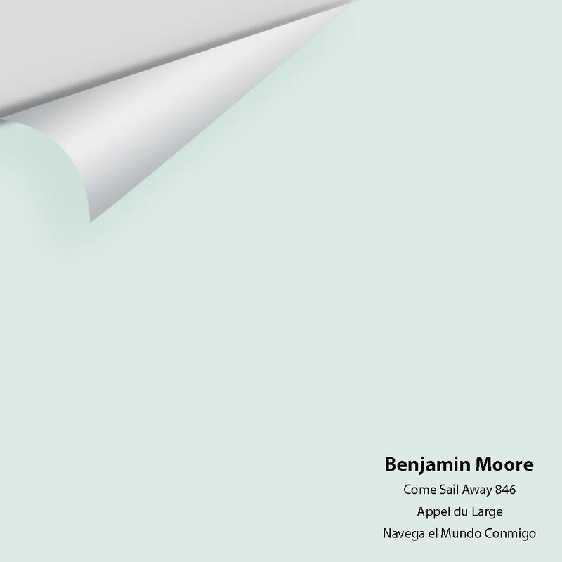 Benjamin Moore - Come Sail Away 846 Peel & Stick Color Sample