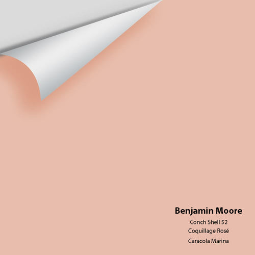 Benjamin Moore - Conch Shell 52 Peel & Stick Color Sample