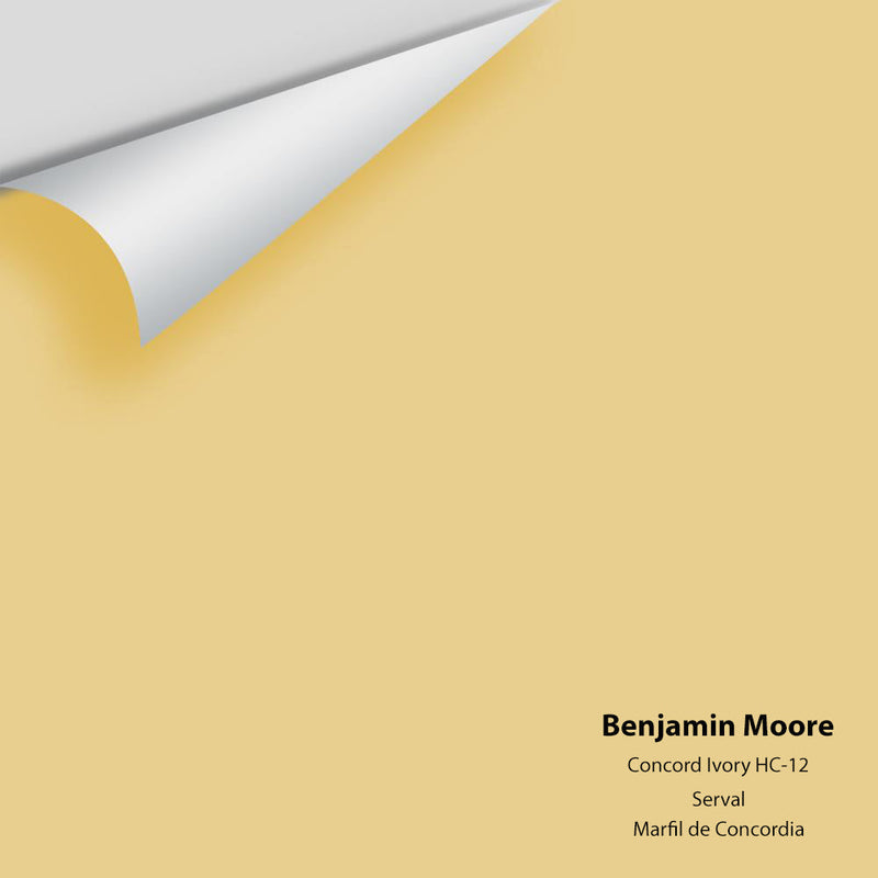 Benjamin Moore - Concord Ivory HC-12 Peel & Stick Color Sample