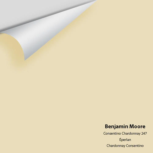 Benjamin Moore - Consentino Chardonnay 247 Peel & Stick Color Sample