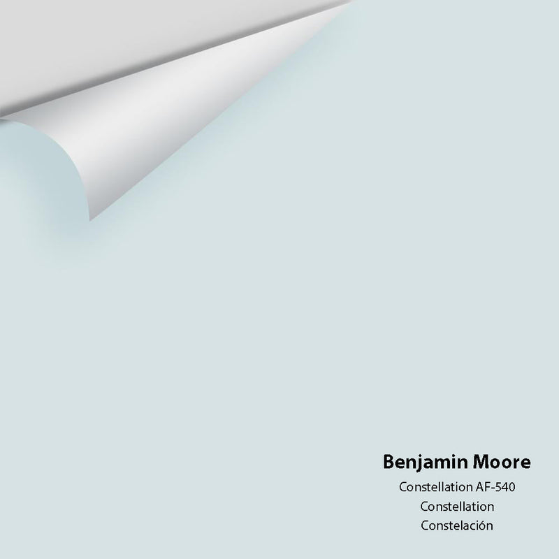 Benjamin Moore - Constellation AF-540 Peel & Stick Color Sample