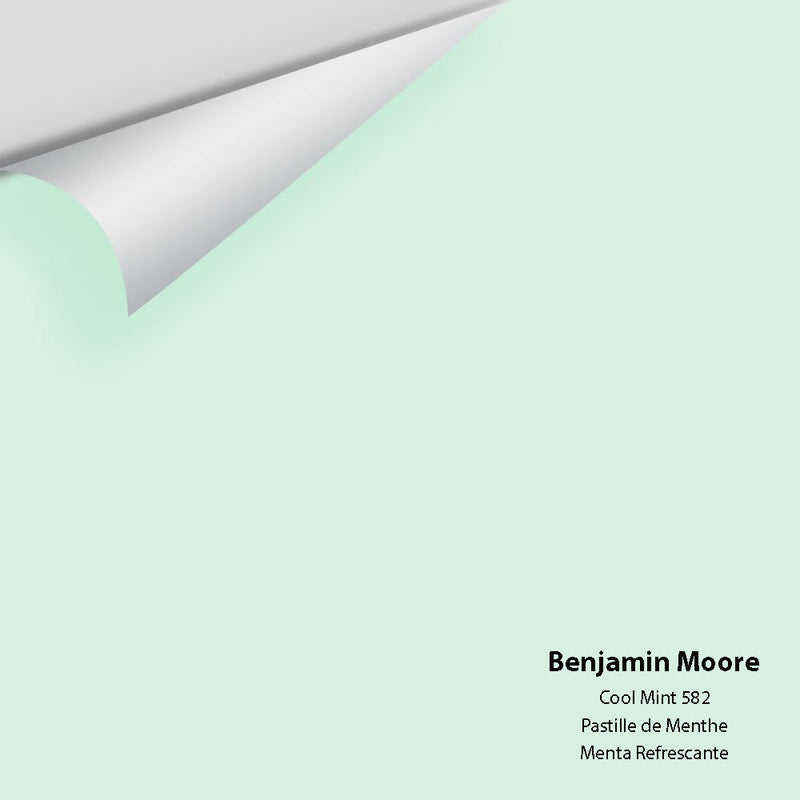Benjamin Moore - Cool Mint 582 Peel & Stick Color Sample