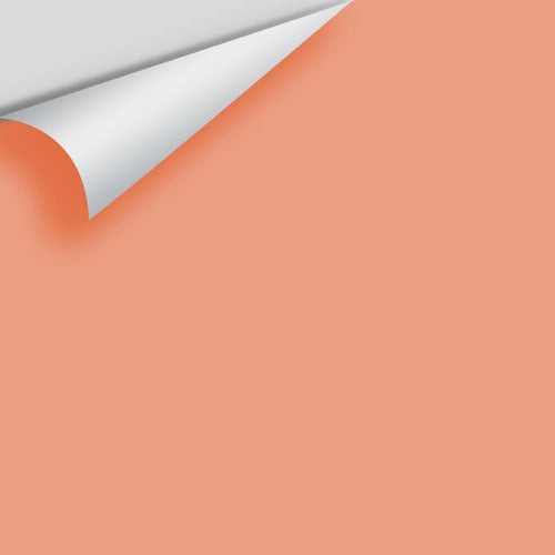 Benjamin Moore - Coral Spice 2170-40 Peel & Stick Color Sample