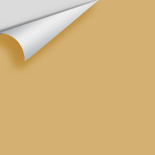 Benjamin Moore - Cork 2153-40 Peel & Stick Color Sample