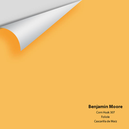 Benjamin Moore - Corn Husk 307 Peel & Stick Color Sample
