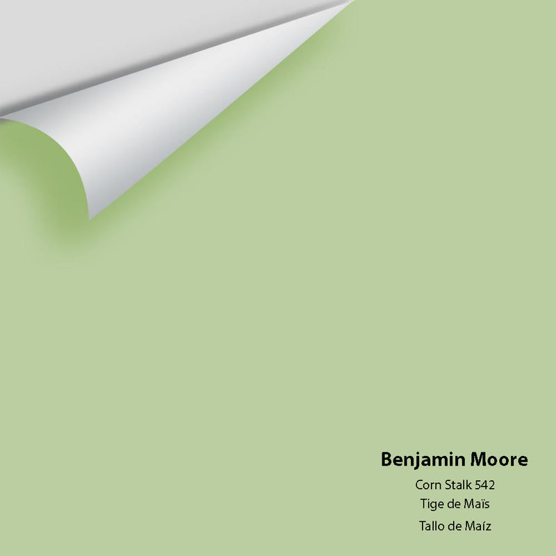 Benjamin Moore - Corn Stalk 542 Peel & Stick Color Sample