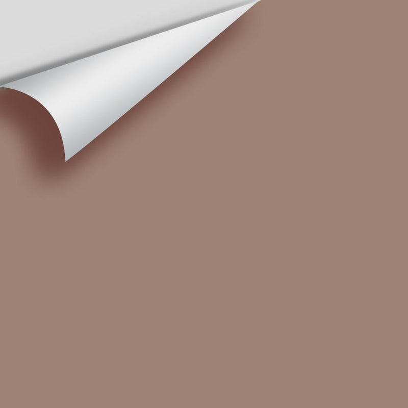 Benjamin Moore - Cougar Brown 2106-40 Peel & Stick Color Sample