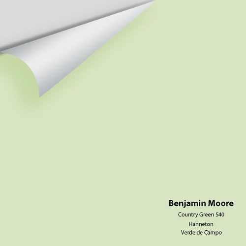Benjamin Moore - Country Green 540 Peel & Stick Color Sample