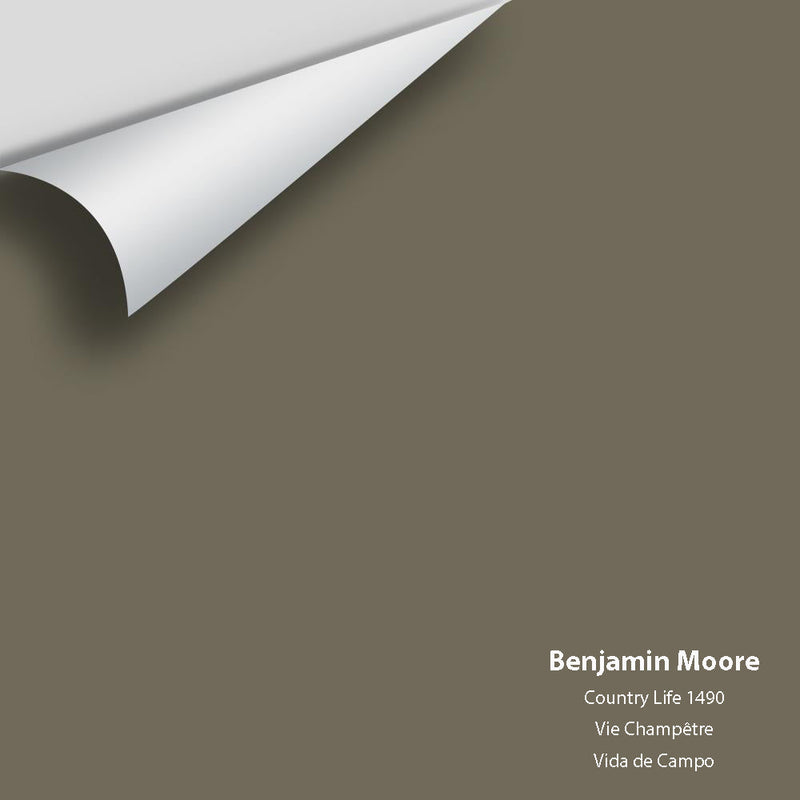 Benjamin Moore - Country Life 1490 Peel & Stick Color Sample