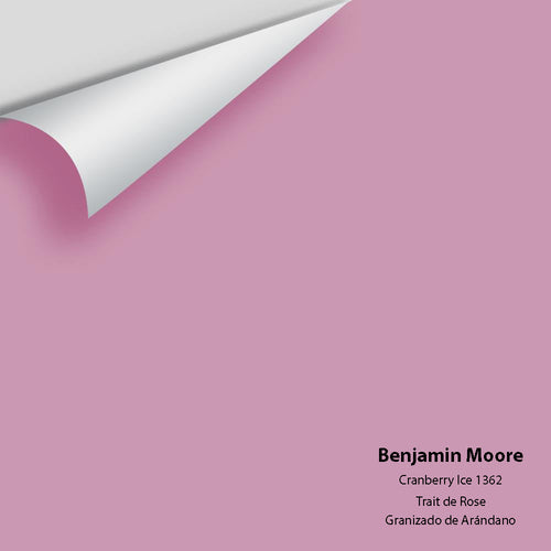 Benjamin Moore - Cranberry Ice 1362 Peel & Stick Color Sample