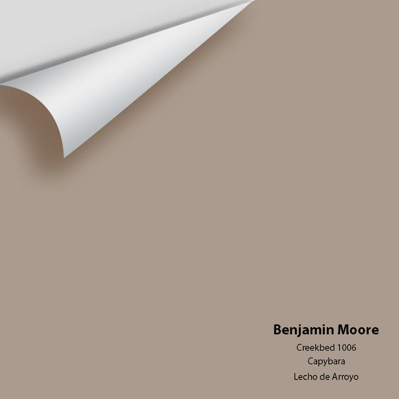 Benjamin Moore - Creekbed 1006 Peel & Stick Color Sample