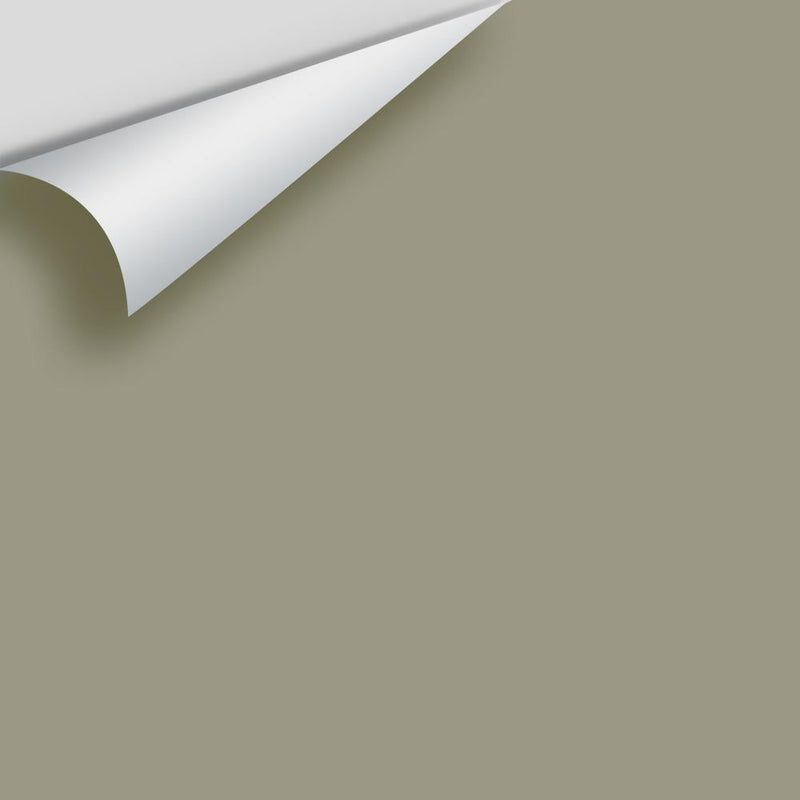 Benjamin Moore - Creekside Green 2141-40 Peel & Stick Color Sample