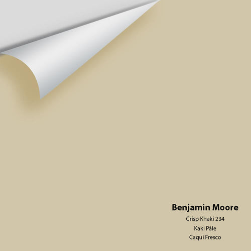Benjamin Moore - Crisp Khaki 234 Peel & Stick Color Sample