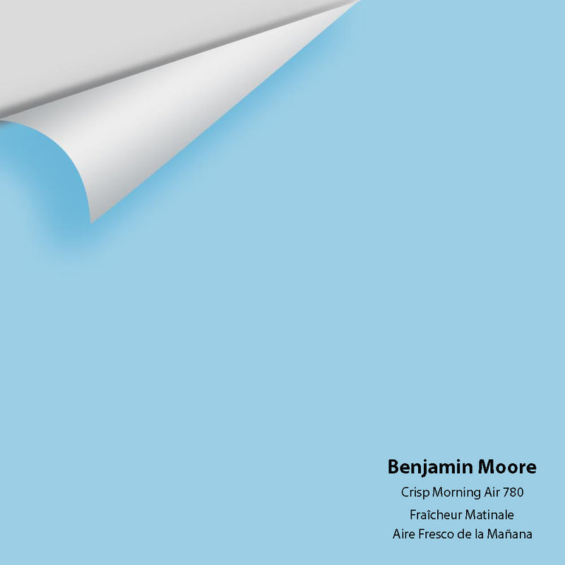 Benjamin Moore - Crisp Morning Air 780 Peel & Stick Color Sample