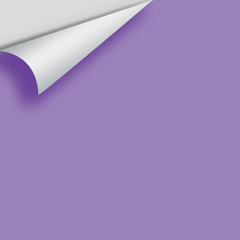 Benjamin Moore - Crocus Petal Purple 2071-40 Peel & Stick Color Sample