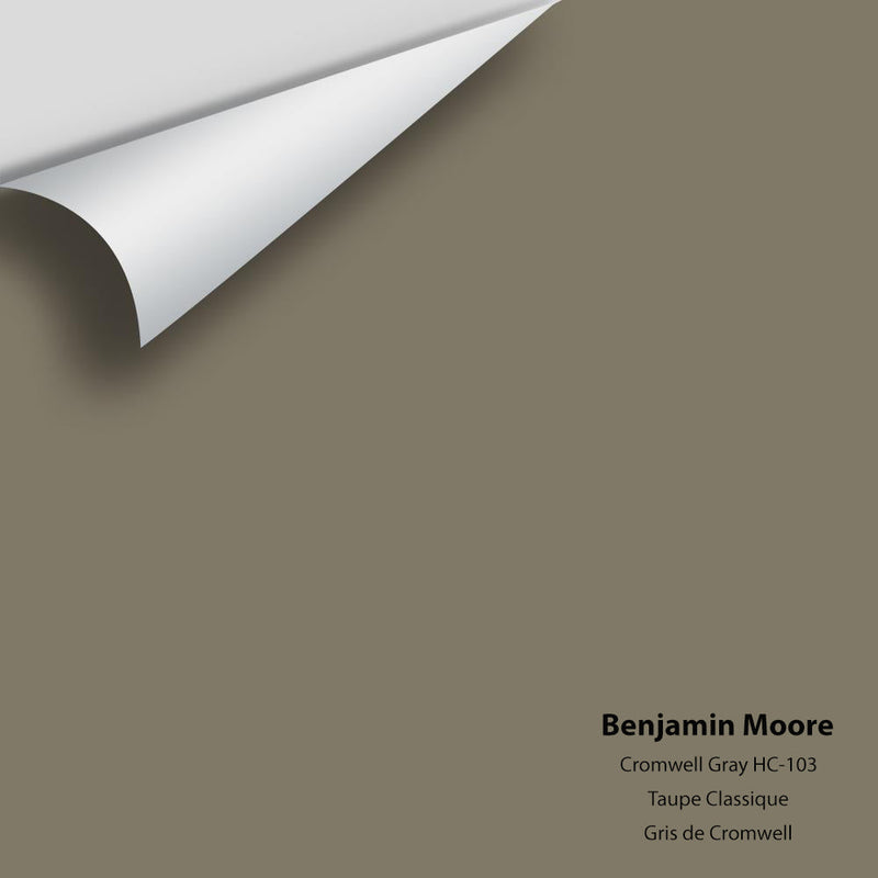 Benjamin Moore - Cromwell Gray HC-103 Peel & Stick Color Sample