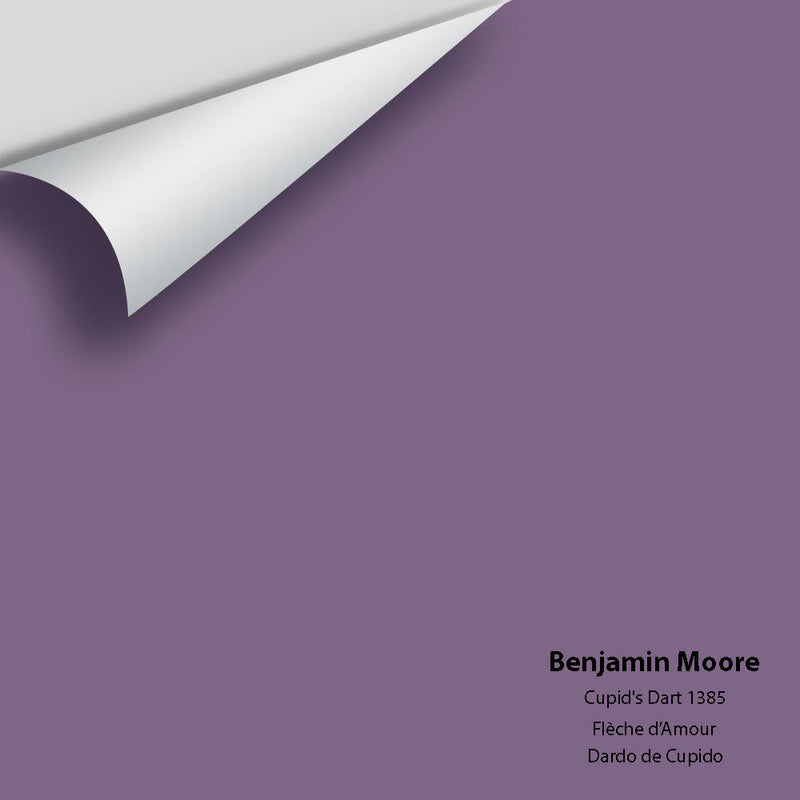 Benjamin Moore - Cupid's Dart 1385 Peel & Stick Color Sample