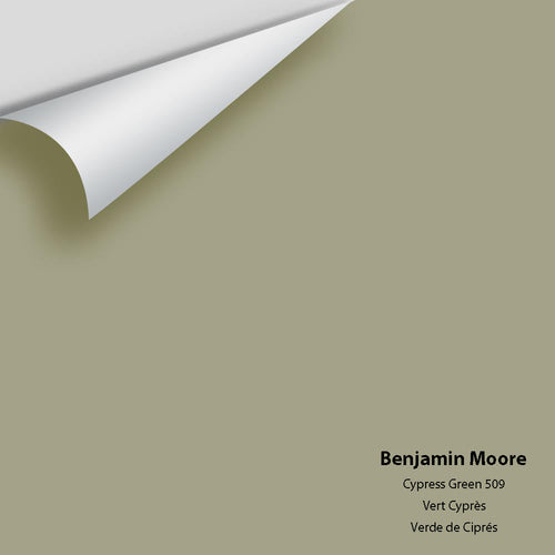 Benjamin Moore - Cypress Green 509 Peel & Stick Color Sample