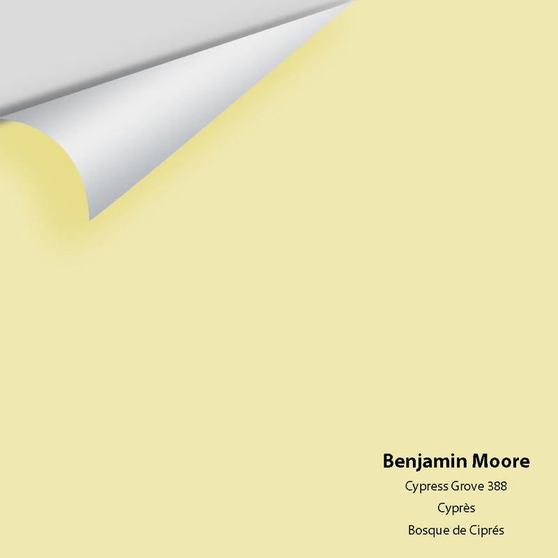 Benjamin Moore - Cypress Grove 388 Peel & Stick Color Sample
