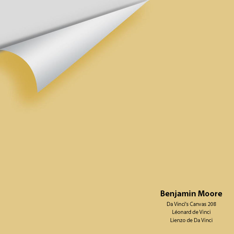 Benjamin Moore - Da Vinci's Canvas 208 Peel & Stick Color Sample