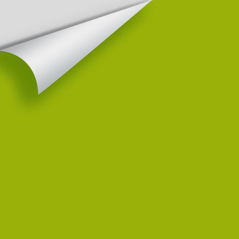 Benjamin Moore - Dark Lime 2027-10 Peel & Stick Color Sample