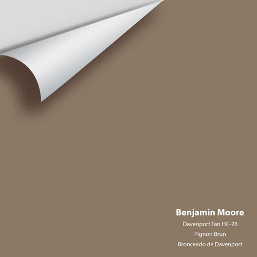 Benjamin Moore - Davenport Tan HC-76 Peel & Stick Color Sample