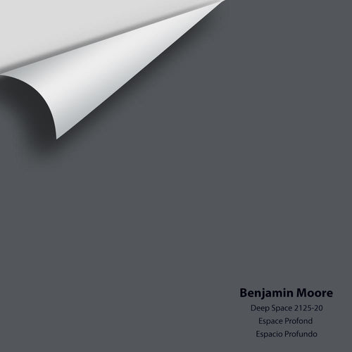 Benjamin Moore - Deep Space 2125-20 Peel & Stick Color Sample