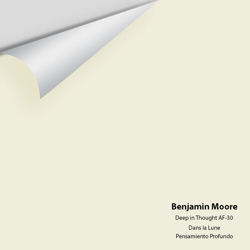 Benjamin Moore - Deep In Thought AF-30 Peel & Stick Color Sample