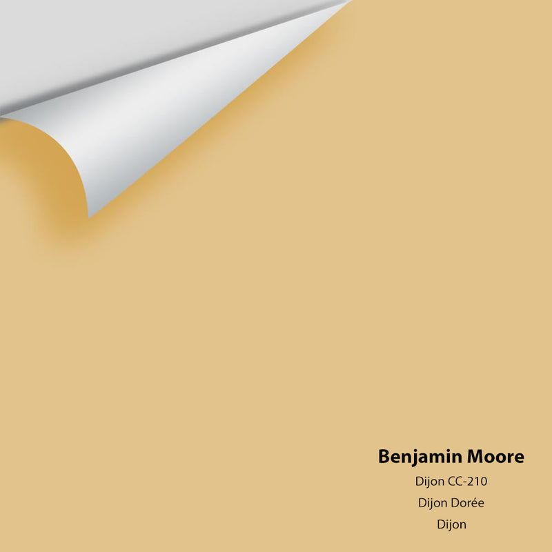 Benjamin Moore - Dijon 193/CC-210 Peel & Stick Color Sample