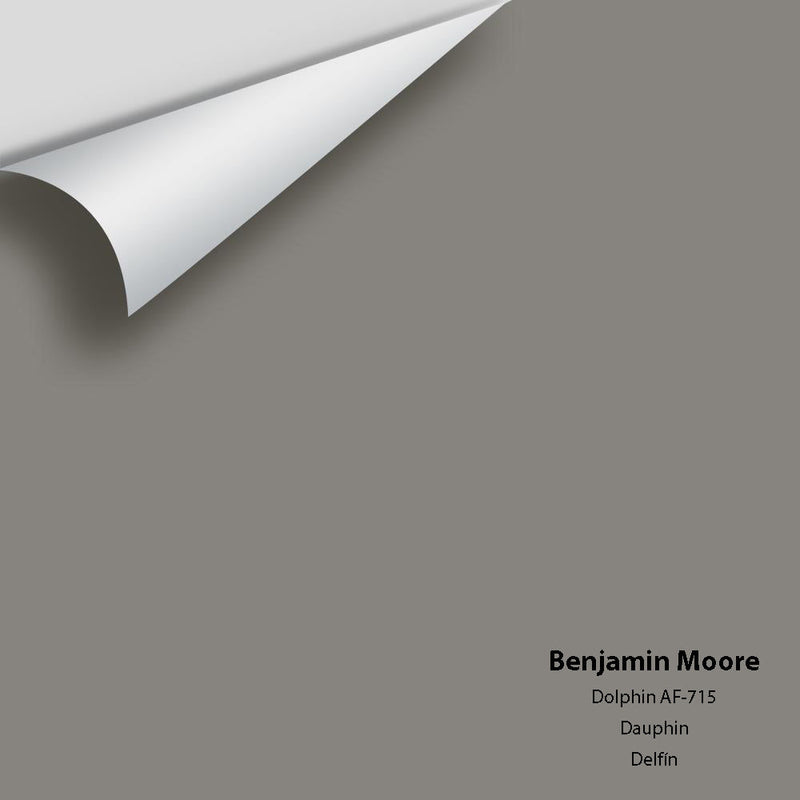 Benjamin Moore - Dolphin AF-715 Peel & Stick Color Sample