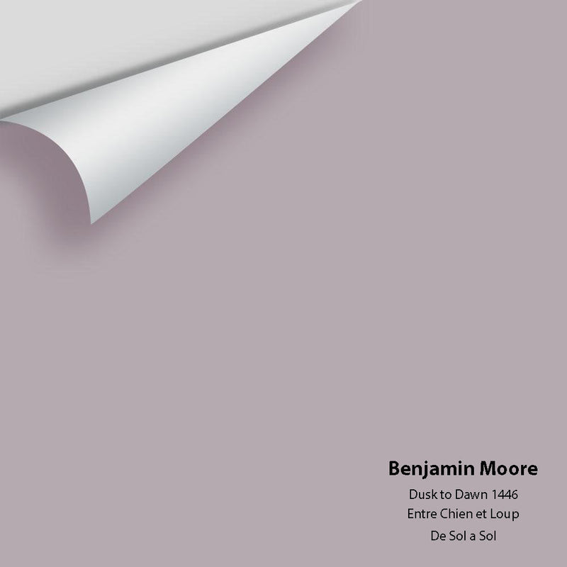 Benjamin Moore - Dusk To Dawn 1446 Peel & Stick Color Sample