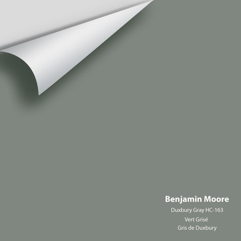 Benjamin Moore - Duxbury Gray HC-163 Peel & Stick Color Sample