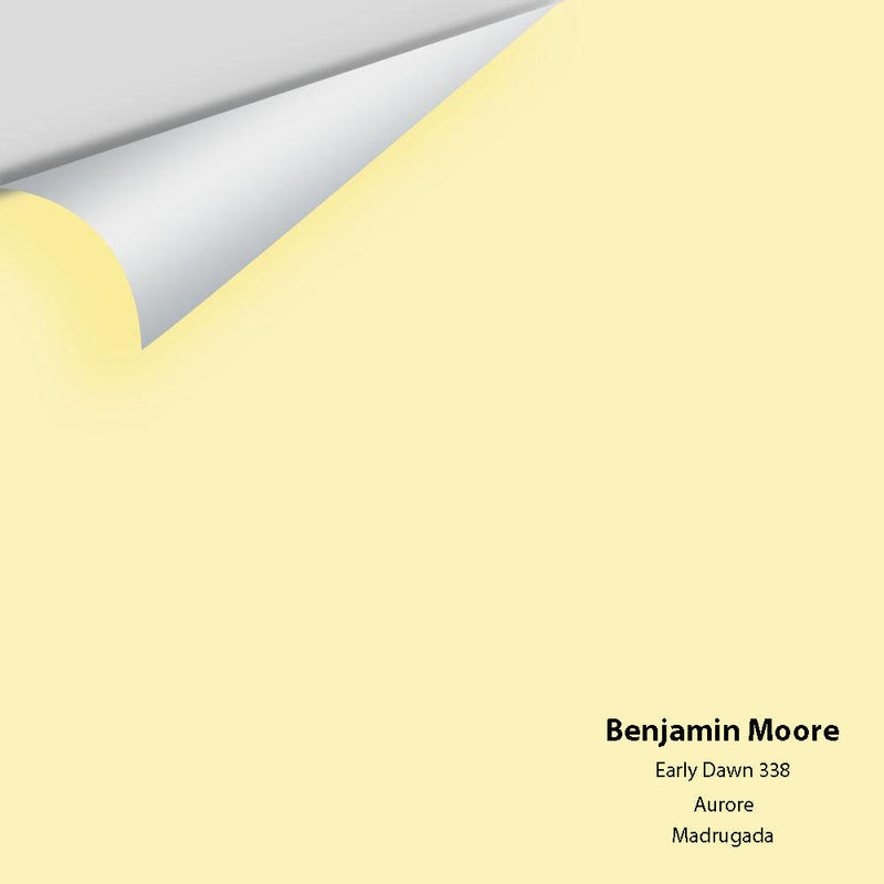 Benjamin Moore - Early Dawn 338 Peel & Stick Color Sample