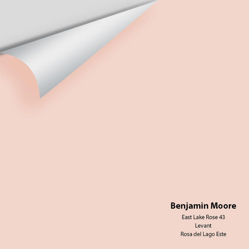 Benjamin Moore - East Lake Rose 43 Peel & Stick Color Sample