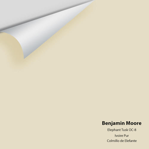 Benjamin Moore - Elephant Tusk OC-8 Peel & Stick Color Sample