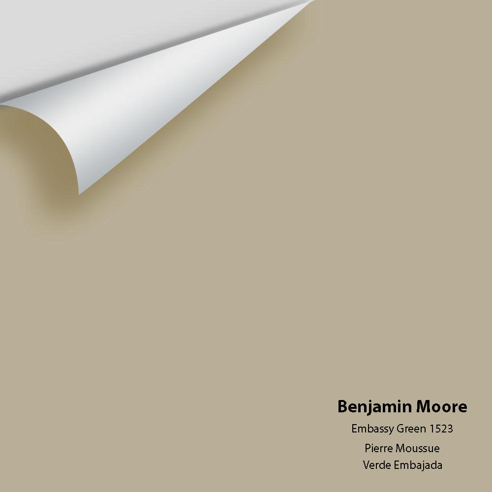 Color 1523 The Color House Benjamin Moore Peel & Stick Paint Samples