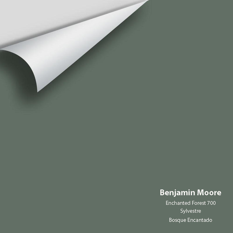 Benjamin Moore - Enchanted Forest 700 Peel & Stick Color Sample