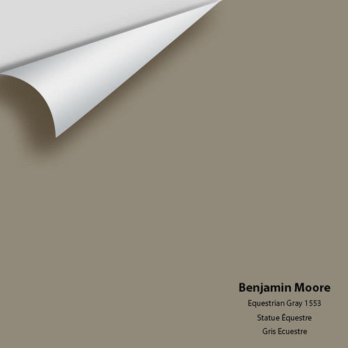 Benjamin Moore - Equestrian Gray 1553 Peel & Stick Color Sample