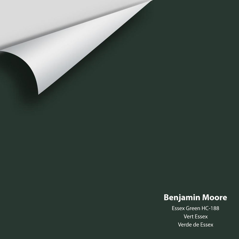 Benjamin Moore - Essex Green HC-188 Peel & Stick Color Sample