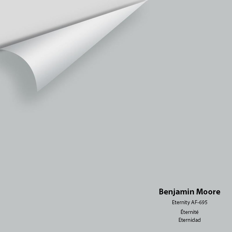 Benjamin Moore - Eternity AF-695 Peel & Stick Color Sample