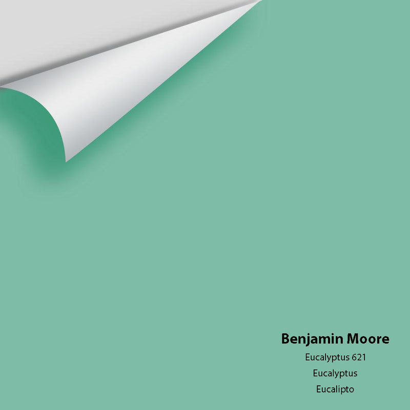 Benjamin Moore - Eucalyptus 621 Peel & Stick Color Sample
