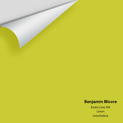 Benjamin Moore - Exotic Lime 399 Peel & Stick Color Sample