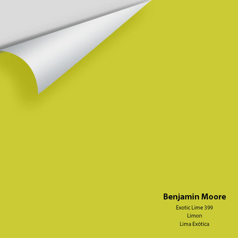Benjamin Moore - Exotic Lime 399 Peel & Stick Color Sample